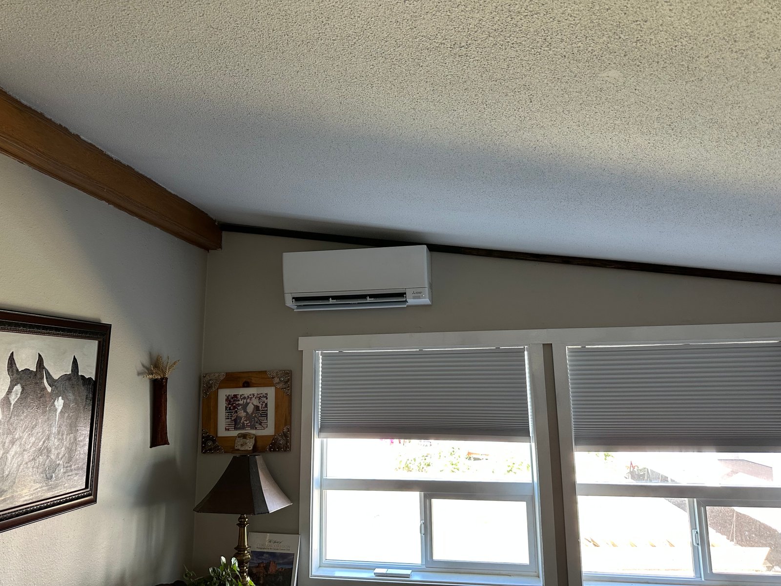 Mirror Pond Builders & Air LLC project image